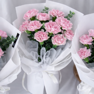 Carnation Whispers (Fresh Flower)