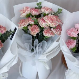 Carnation Whispers (Fresh Flower)