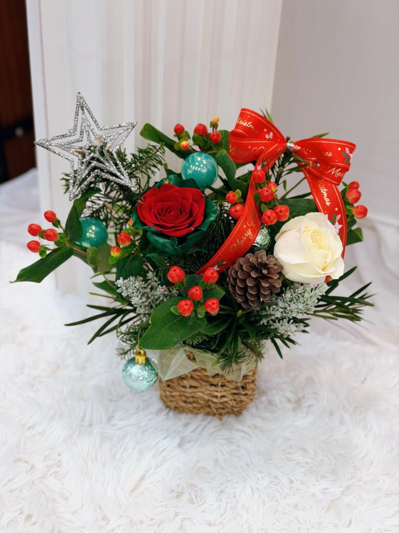 Starlight Christmas Arrangement (Fresh flower)