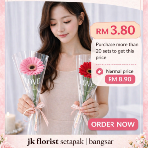 Single Daisy (Fresh Flower)